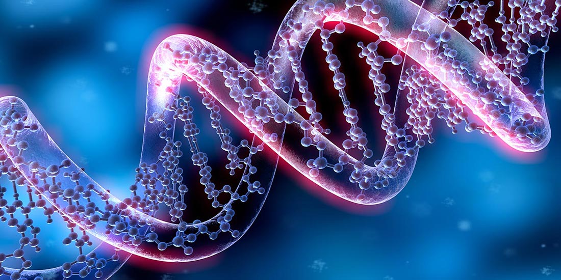 DNA double helix